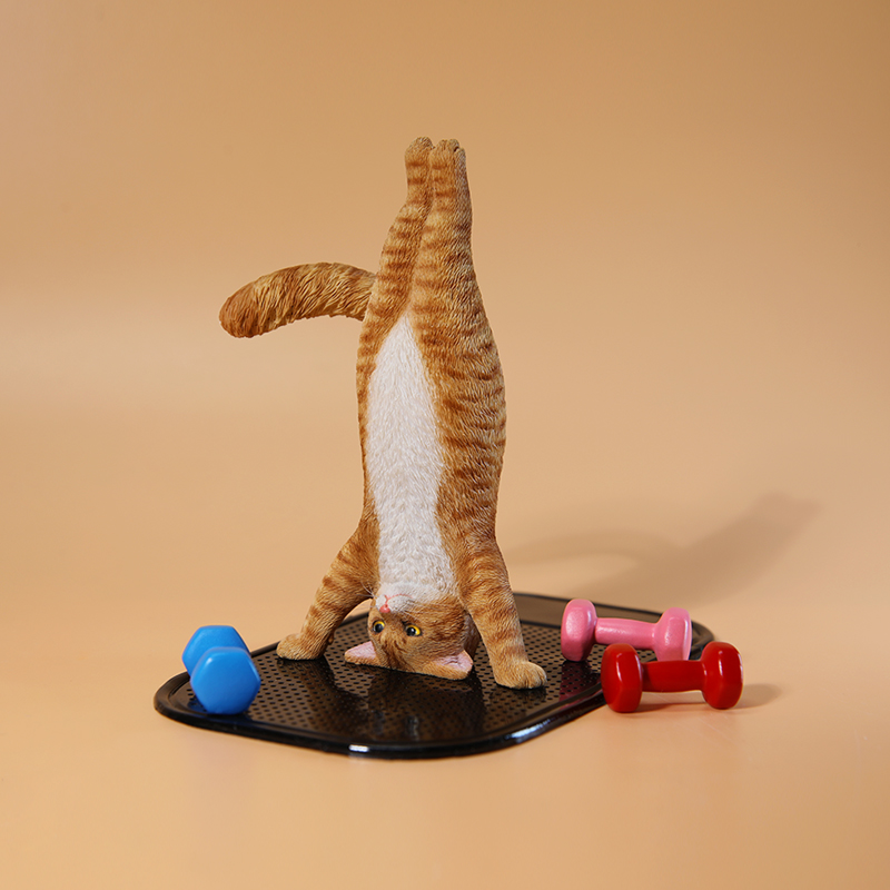 1/6 масштаб мини-имитация фитн – обзор и цена Kids Yoga Toys